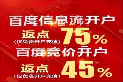 百度SEO推广技巧案例分析